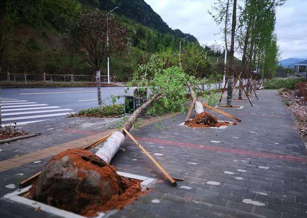 刮風(fēng)下雨加速新冠病毒傳播？別信！