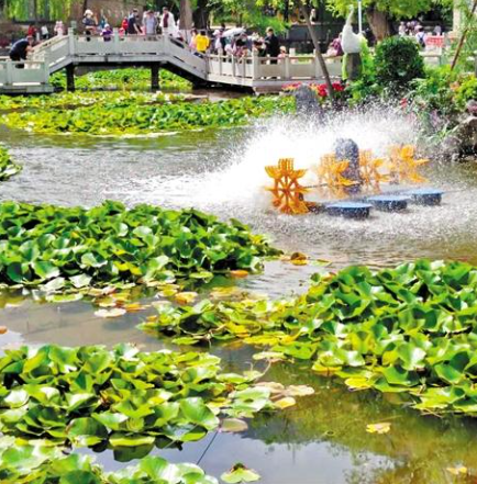 走，到五泉山公園看花展去