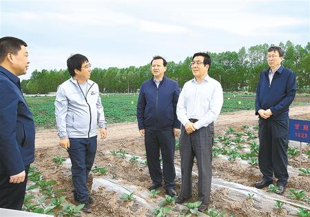 林鐸在天?？h調(diào)研指導(dǎo)脫貧攻堅工作時強調(diào)  拉開架勢持續(xù)用力構(gòu)建扶貧產(chǎn)業(yè)體系 多措并舉固強補弱鞏固提升脫貧成果