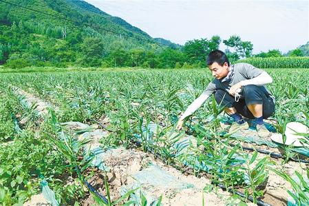 【走向我們的小康生活】安居樂業(yè) 幸?；ㄩ_