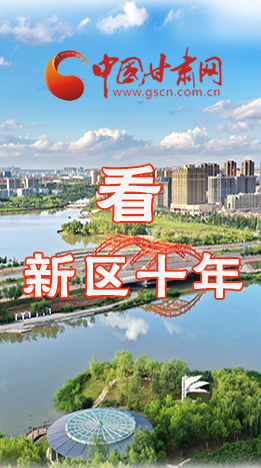 圖解|崛起！新區(qū)十年
