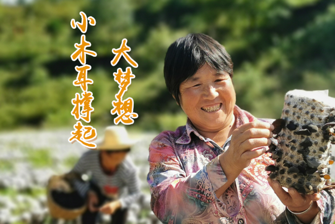 海報丨他們，乘“豐”破浪！