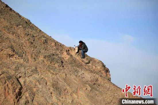 圖為敦煌“80后”畫家張杰龍?jiān)诙鼗腿Ｉ嚼锊杉V石顏料。(資料圖)受訪者供圖