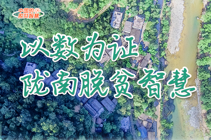 【中國的脫貧智慧】以數(shù)為證！隴南脫貧智慧來了！