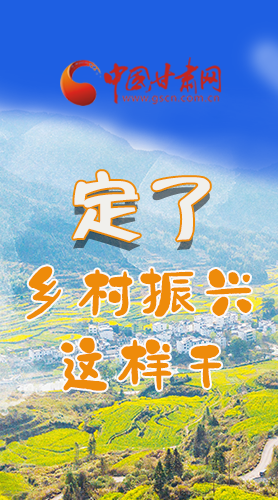 圖解|定了！全面推進(jìn)鄉(xiāng)村振興這樣干！
