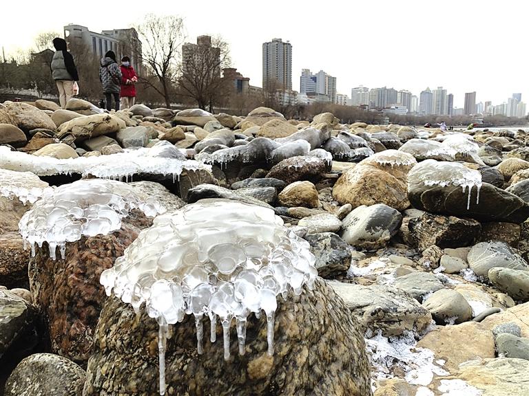 蘭州：水母上河灘？