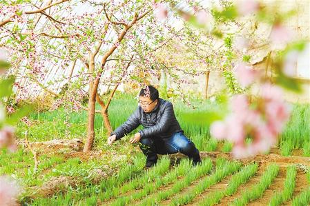 甘肅：時(shí)令催人耕種忙，不誤田間一季春