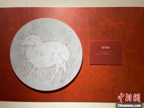 圖為展覽現(xiàn)場(chǎng)。　江楊燁 攝