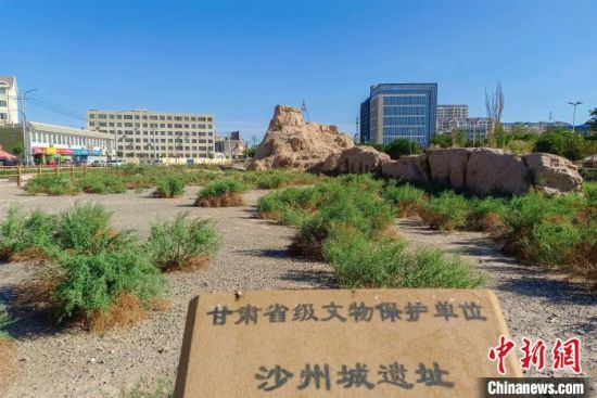 圖為沙州郡城遺址公園古遺址?！⊥醣筱y 攝