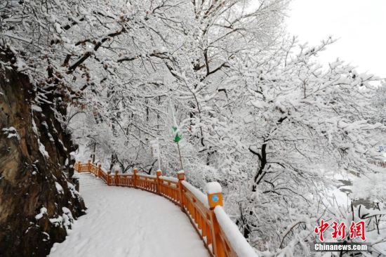 圖為上山的石階被雪覆蓋。張?zhí)鞂?攝