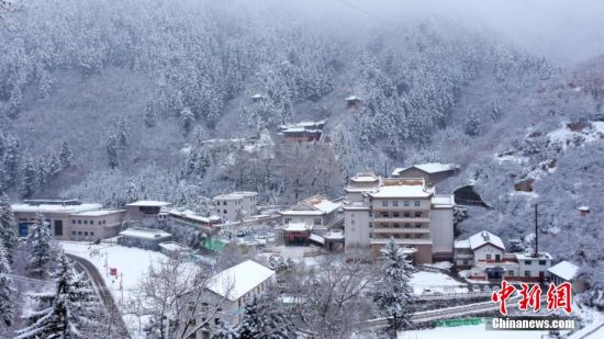 圖為籠罩在雪下的世界。吳永 攝