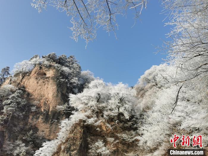圖為藍(lán)天下霧凇籠罩山脈?！⌒煺袢A 攝