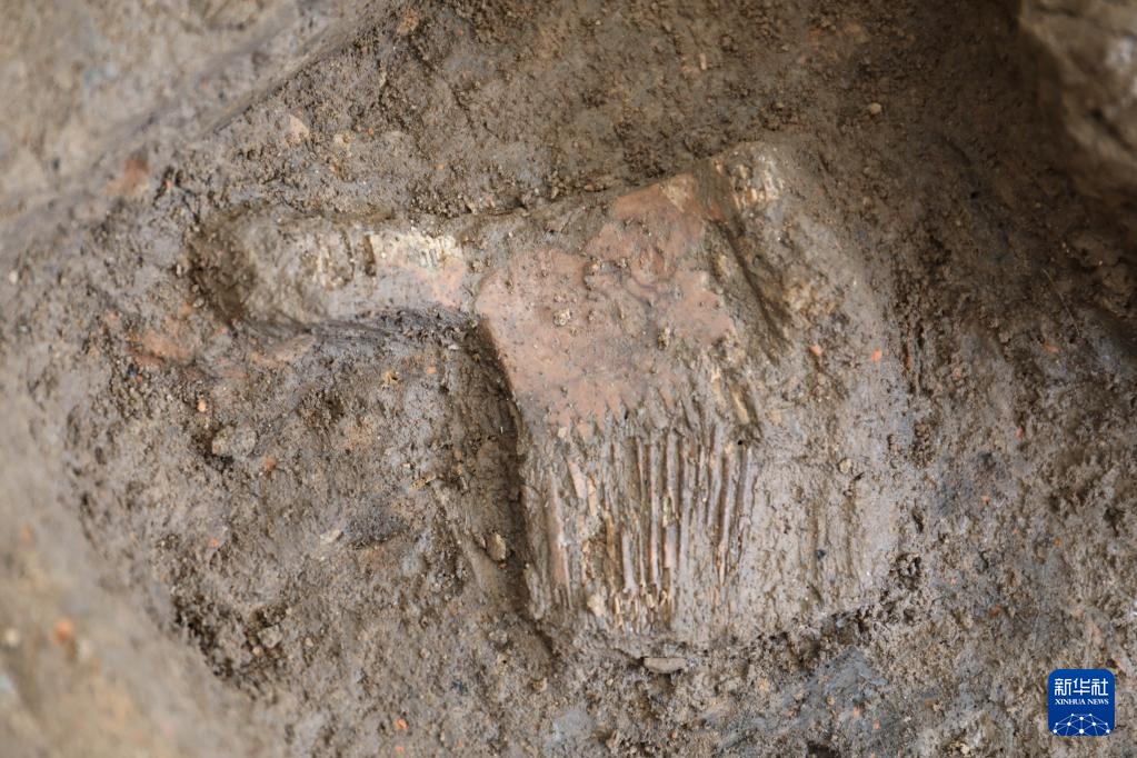 河南南陽市黃山新石器時代遺址出土的屈家?guī)X文化骨梳（資料圖）。