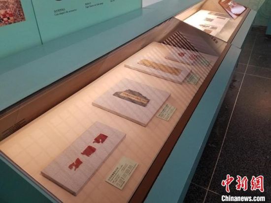 圖為展覽現(xiàn)場(chǎng)。　敦煌研究院供圖