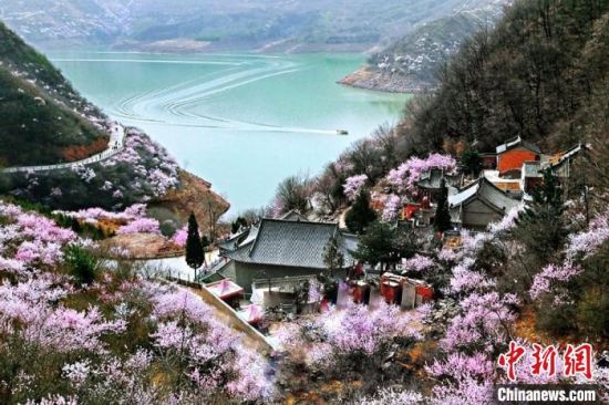 甘肅平?jīng)鍪惺侵袊鴥?yōu)秀旅游城市。圖為平?jīng)鲠轻忌较率锾一ㄊ㈤_。(資料圖) 平?jīng)鍪形麄鞑抗﹫D