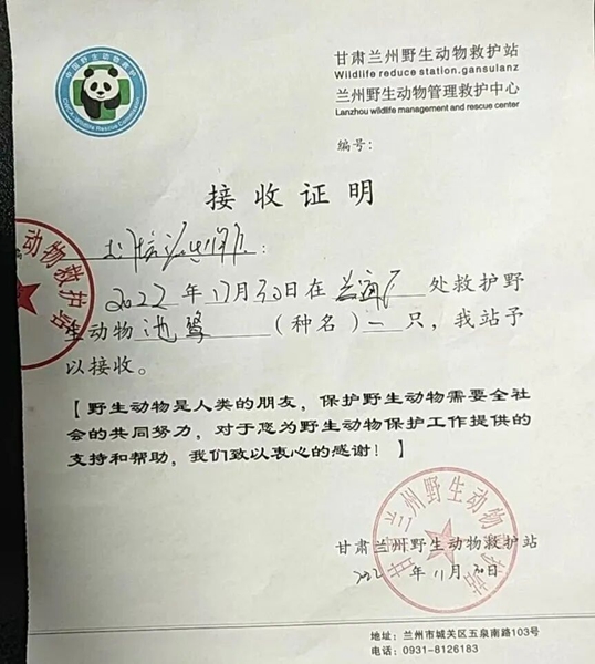 受到救助的池鷺被蘭州野生動(dòng)物保護(hù)站接收。（蘭州市公安局七里河分局供圖）