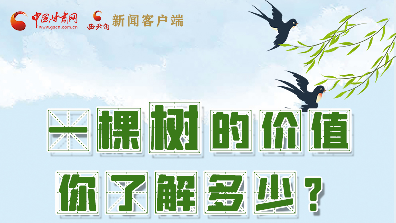 圖解|一棵樹的價值你了解多少?來看！