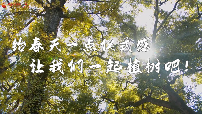 短視頻|給春天一點儀式感，讓我們一起植樹吧！