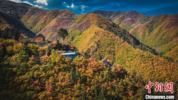 深秋，位于蘭州市榆中縣的興隆山，似打翻調(diào)色板。金峯 攝