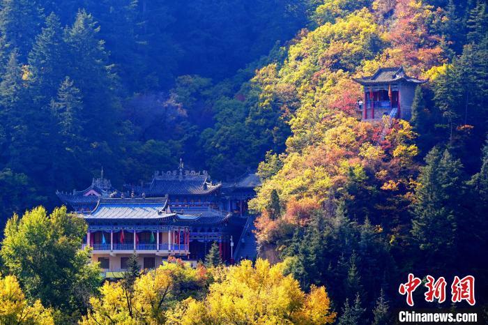 深秋，位于蘭州市榆中縣的興隆山景色如畫。宮衛(wèi)紅 攝