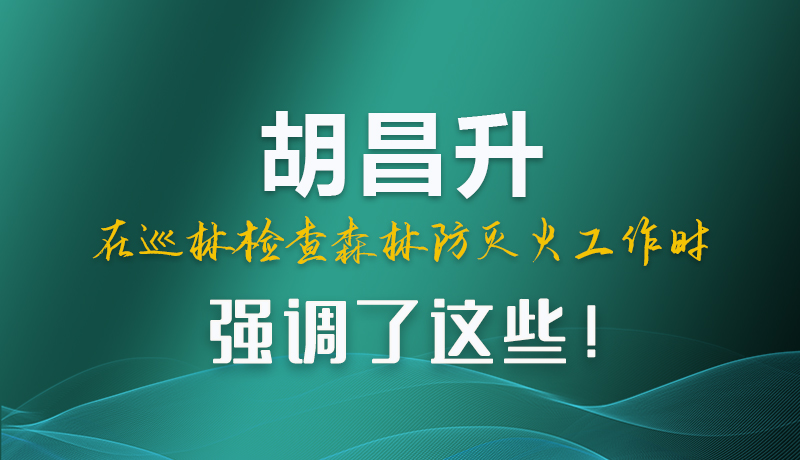 圖解|胡昌升在巡林檢查森林防滅火工作時強調(diào)了這些！