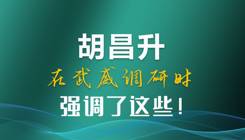 圖解|胡昌升在武威調(diào)研時強調(diào)了這些！